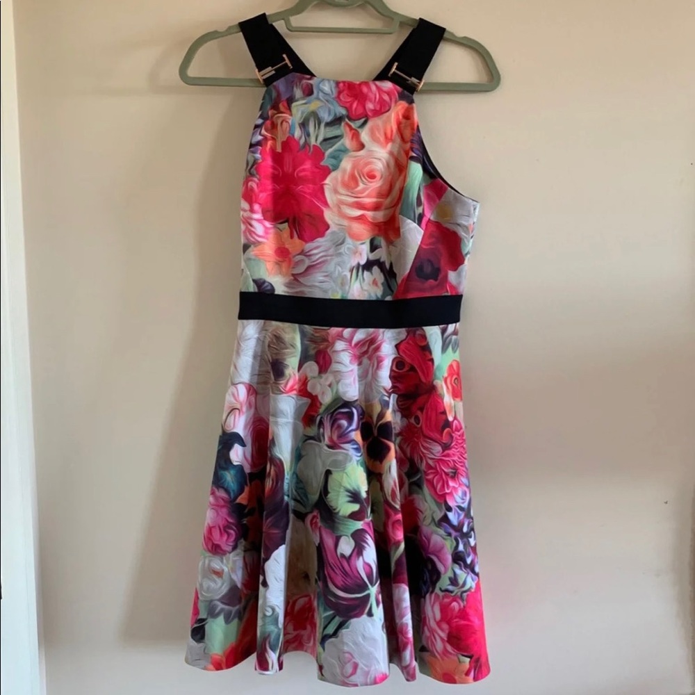 Ted Baker London impressionist floral party dress